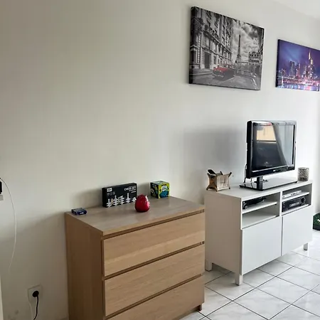 Grande Salon Climatise Dans Partage Avec Parking Devant La Апартаменти *