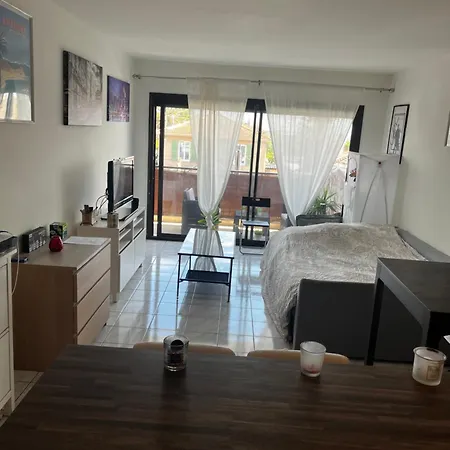 Grande Salon Climatise Dans Partage Avec Parking Devant La Antibes