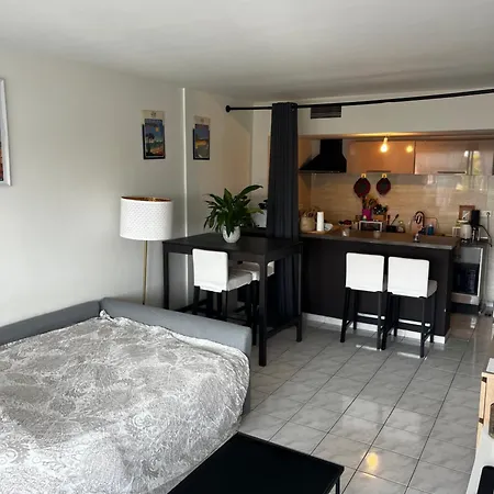 Apartman Grande Salon Climatise Dans Partage Avec Parking Devant La
