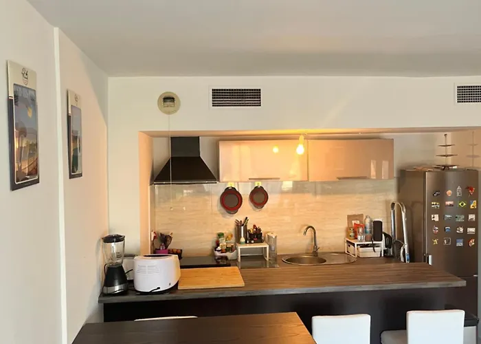 Grande Salon Climatise Dans Partage Avec Parking Devant La * Antibes