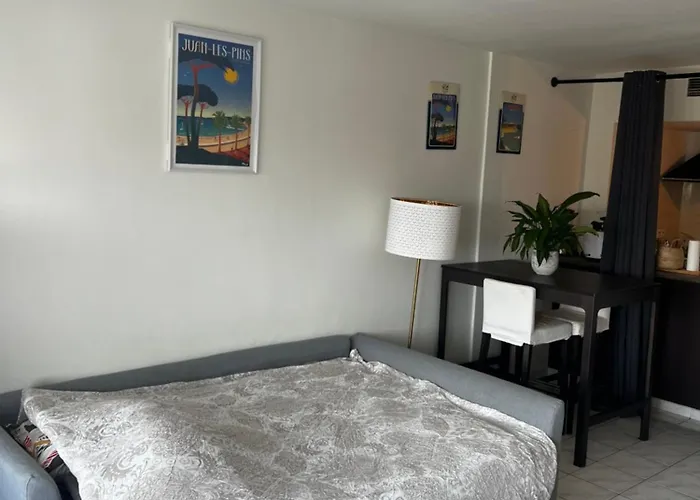 Lejlighed Grande Salon Climatise Dans Partage Avec Parking Devant La